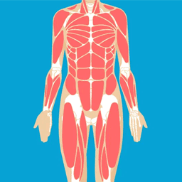 disorder-of-joints img